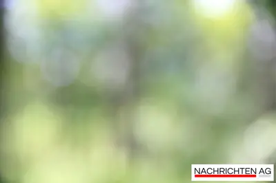 Reichraming trauert: Monsignore Helmut Neuhofer mit 91 Jahren verstorben