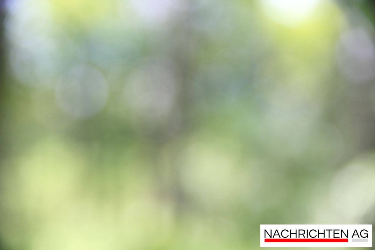 Neuwahl der ÖVP-Frauen: Julia Kloiber führt nun in Hagenbrunn!