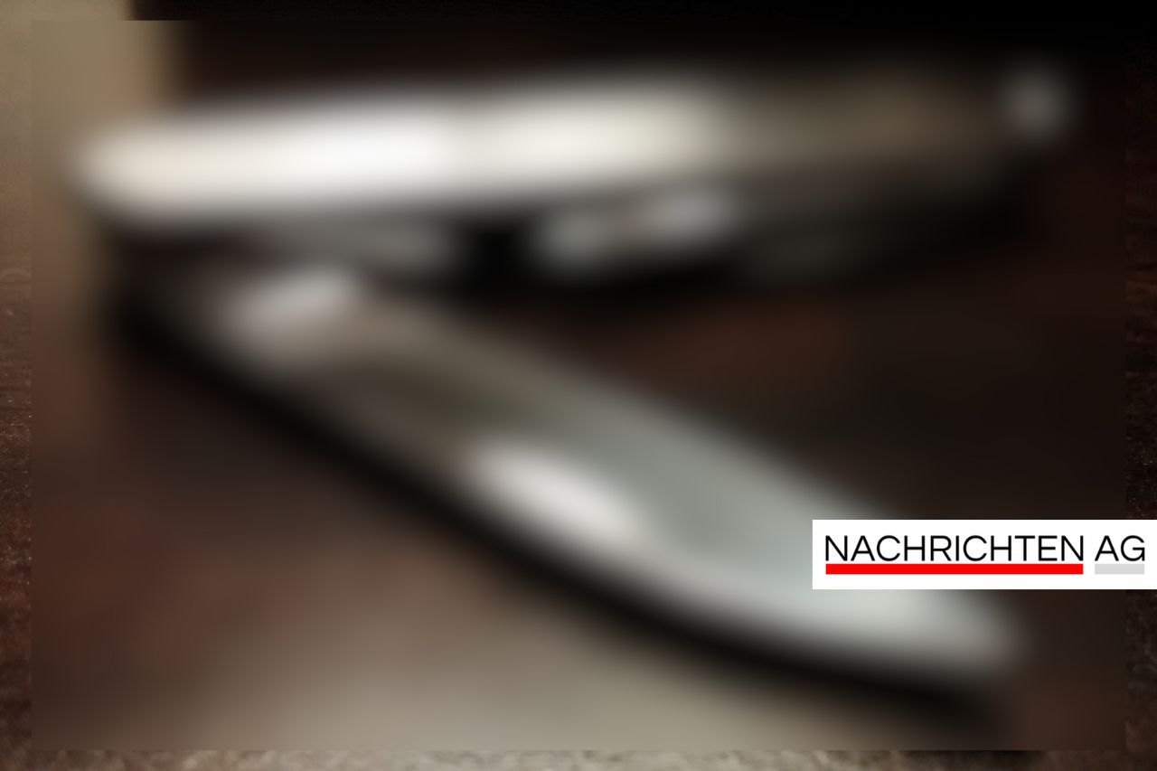 Nach Amoklauf in Graz: Debatte um striktes Waffenverbot entbrannt!